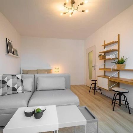 Sauber Und Modern, Netflix, Wifi, Leipzig Flair, Kueche Appartement Buitenkant foto